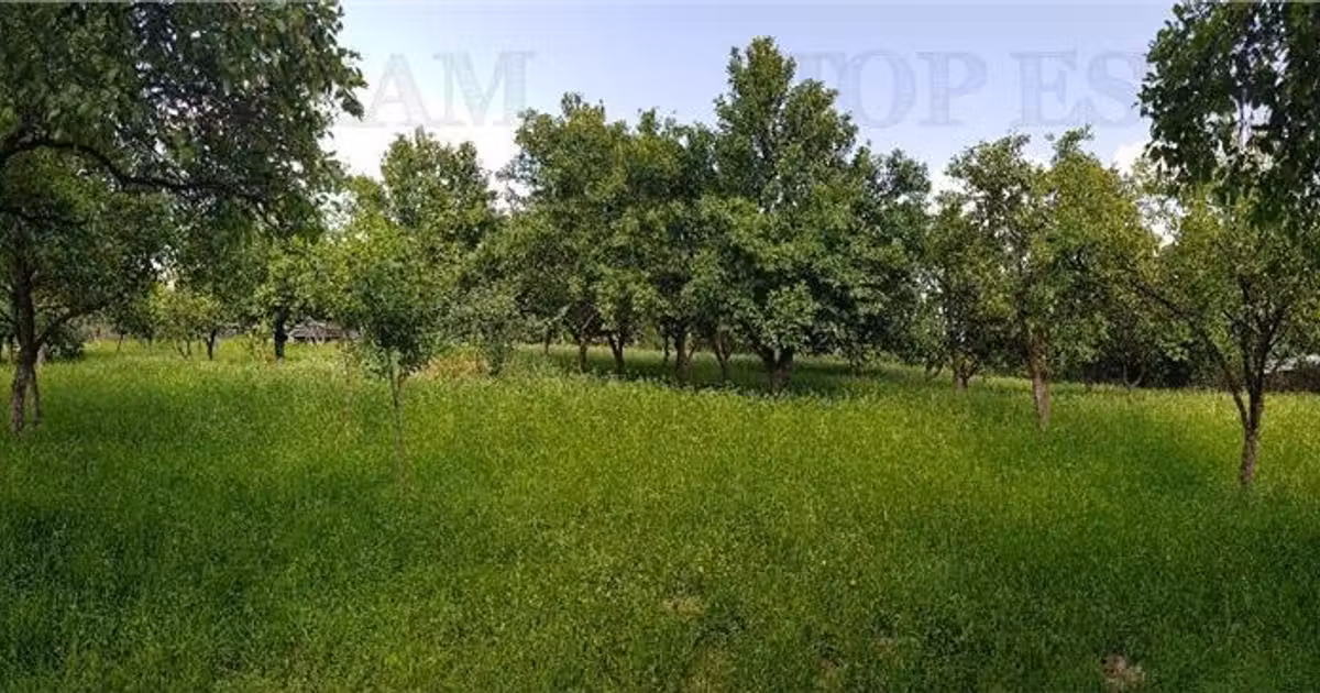 Teren Construcții intravilan de vânzare de 2957 mp, în Câmpulung Muscel