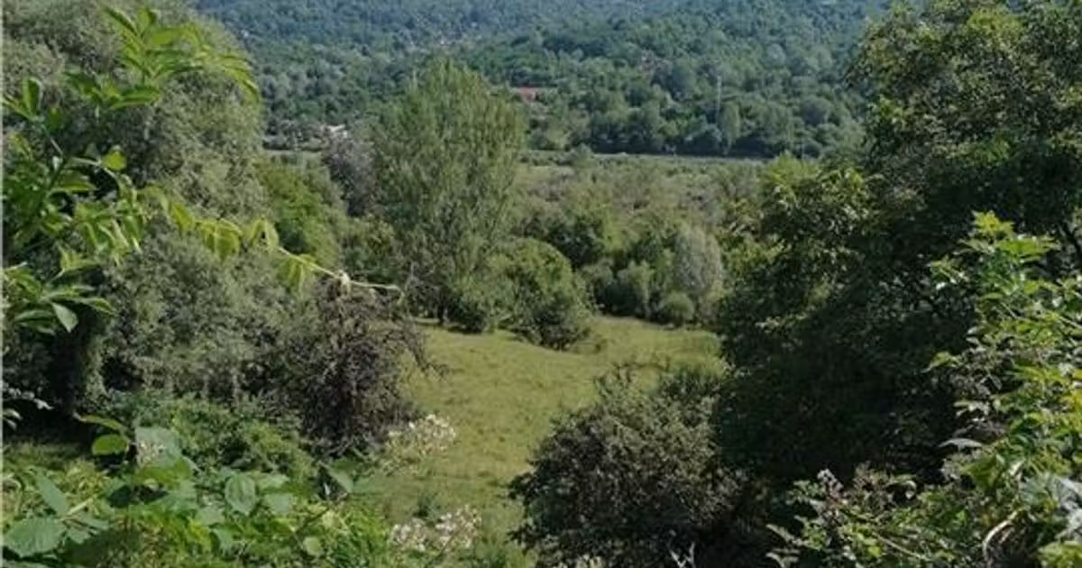 Teren Construcții intravilan de vânzare de 11230 mp, în Breaza de Sus