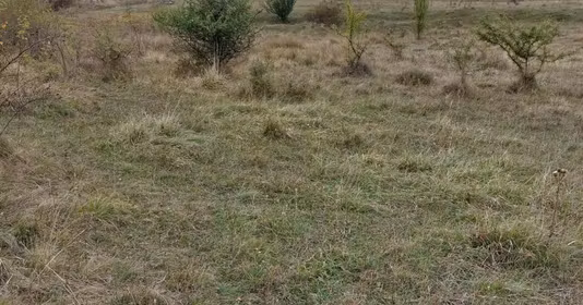 Teren Bună Ziua