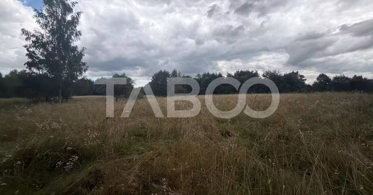 Teren Construcții extravilan de vânzare de 6000 mp, în Dejani