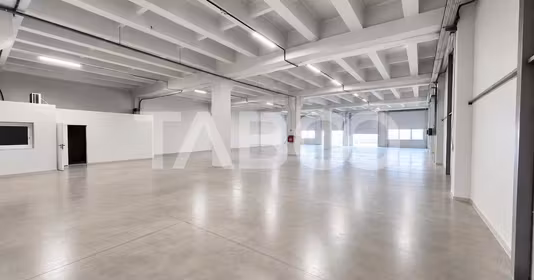 Spațiu comercial Vasile Aaron