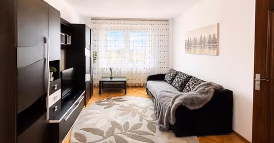 Apartament Centrul Civic