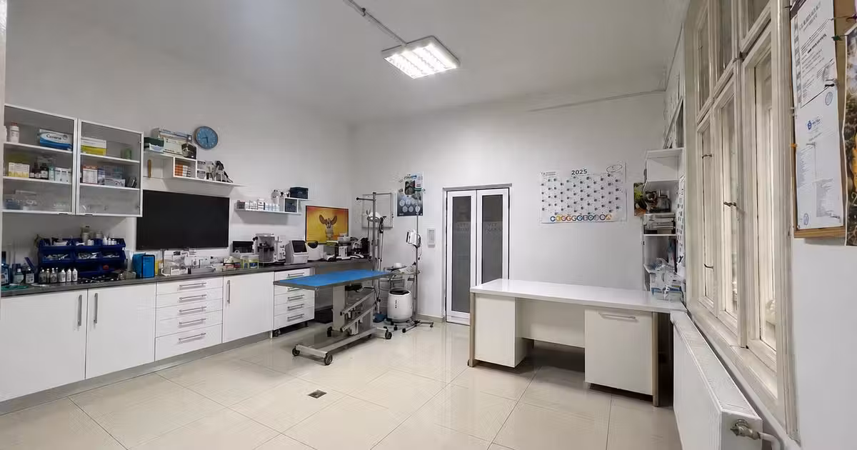 Casă individuală de vânzare cu 2 camere în zona Bogdăneștilor, Timișoara