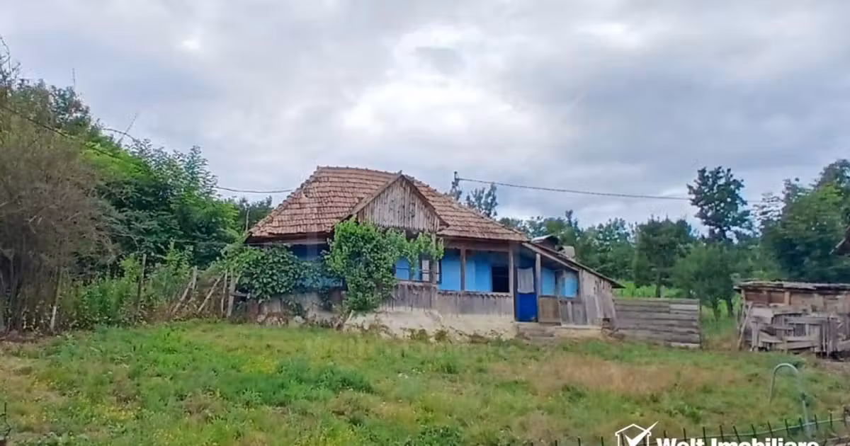 Teren Construcții intravilan de vânzare de 7000 mp, în Cămărașu