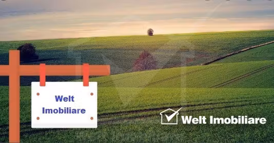 Teren Bălcești (Beliș)