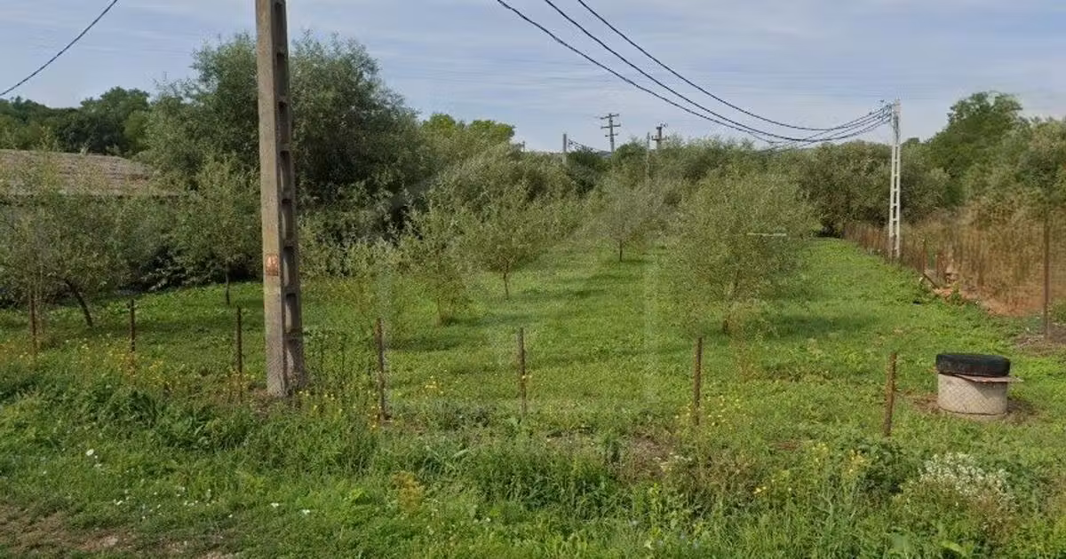 Teren Construcții intravilan de vânzare de 1702 mp, în Suatu