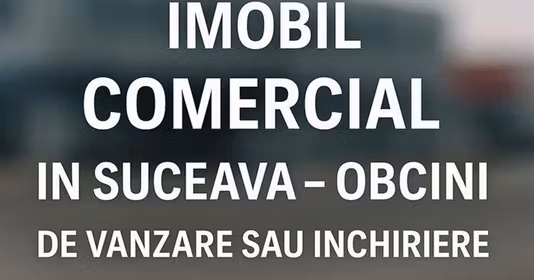 Spațiu comercial Burdujeni