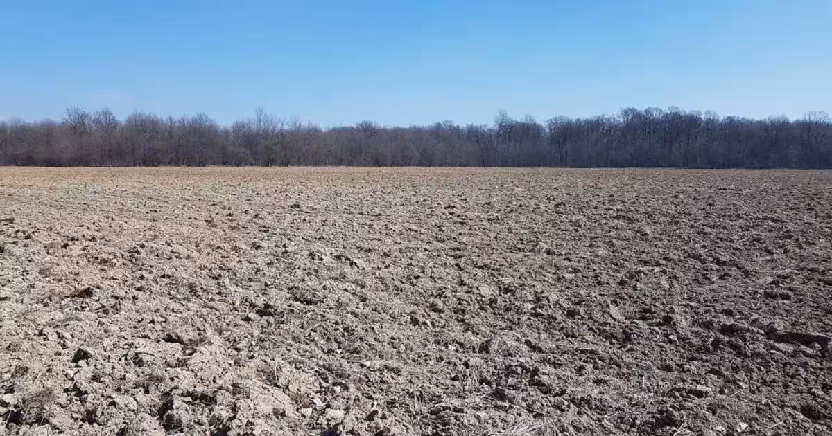Teren Construcții intravilan de vânzare de 30000 mp, în Răcari