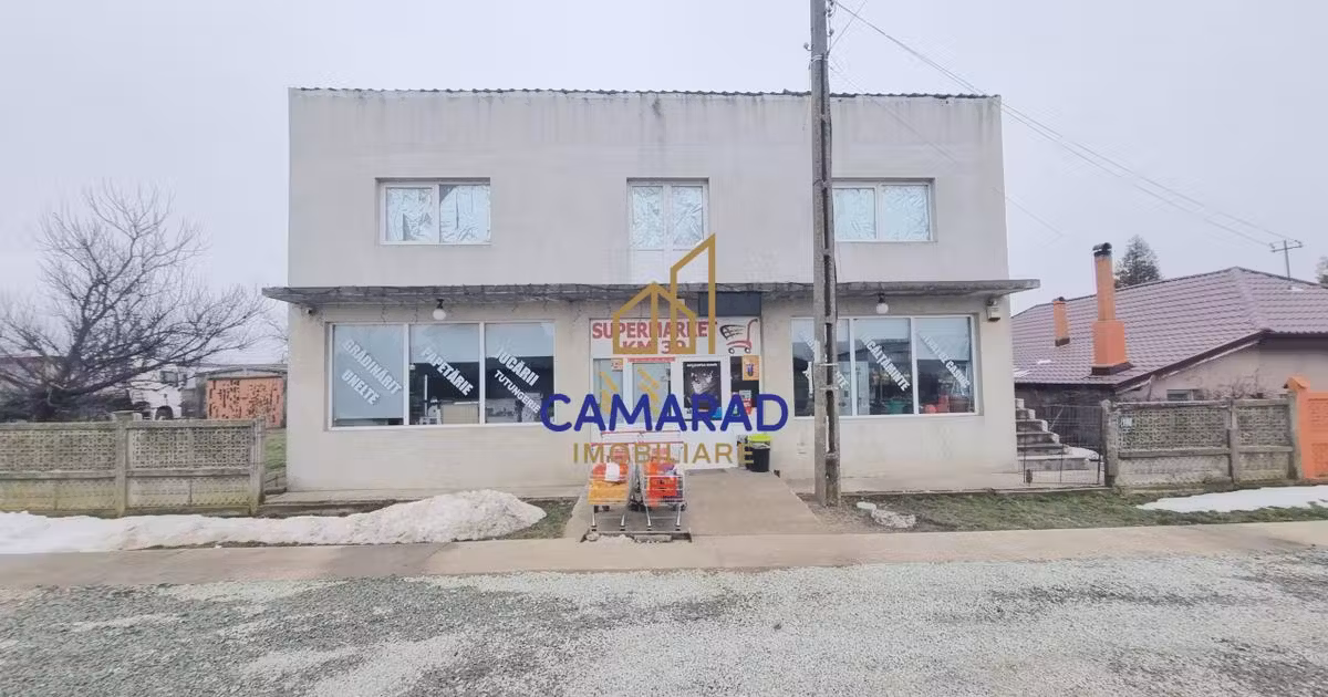 Casă individuală de vânzare cu 3 camere, mobilată în Tămădău Mare