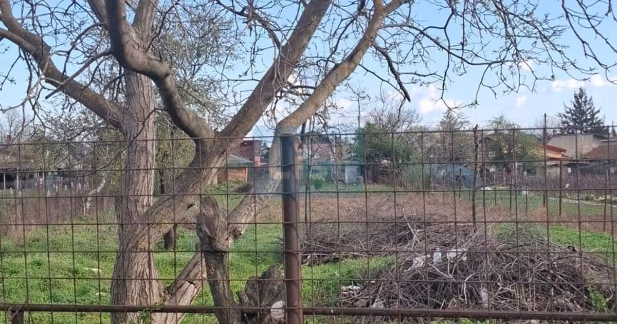 Teren Construcții intravilan de vânzare de 1600 mp, în Bragadiru