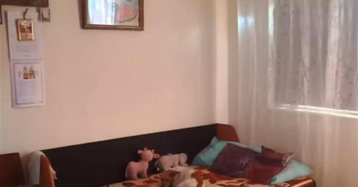 Apartament de vânzare cu 3 camere în zona Viziru 1, Brăila