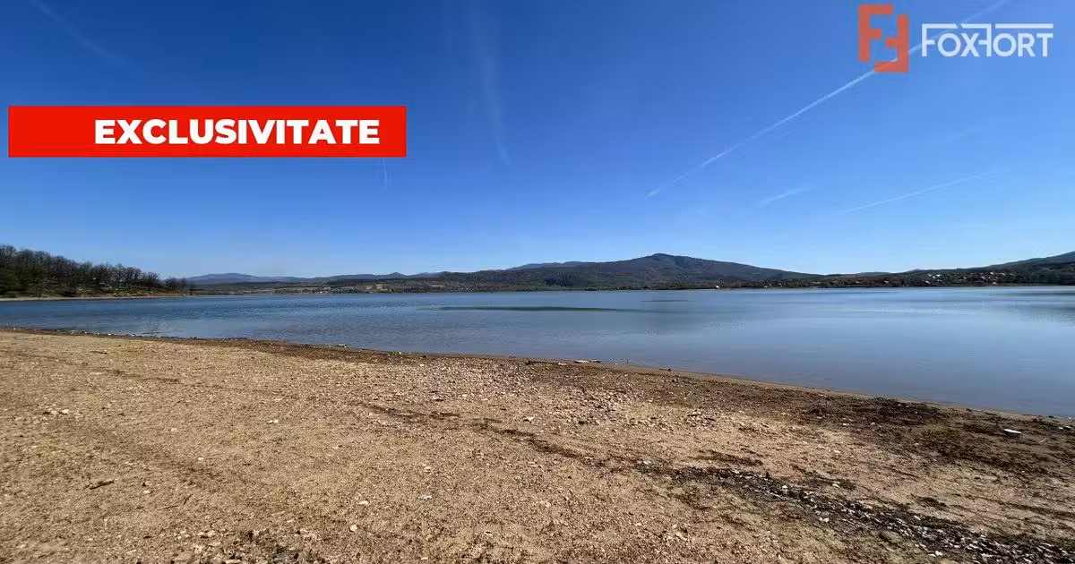 Teren extravilan de vânzare de 6000 mp, în Fârdea