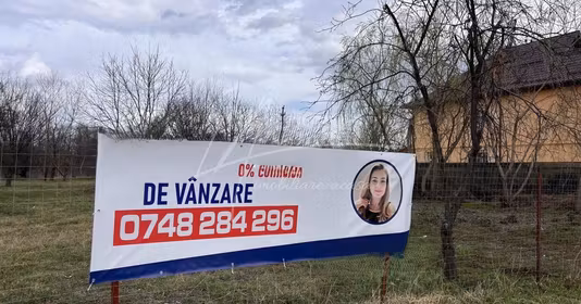 Teren Catanele