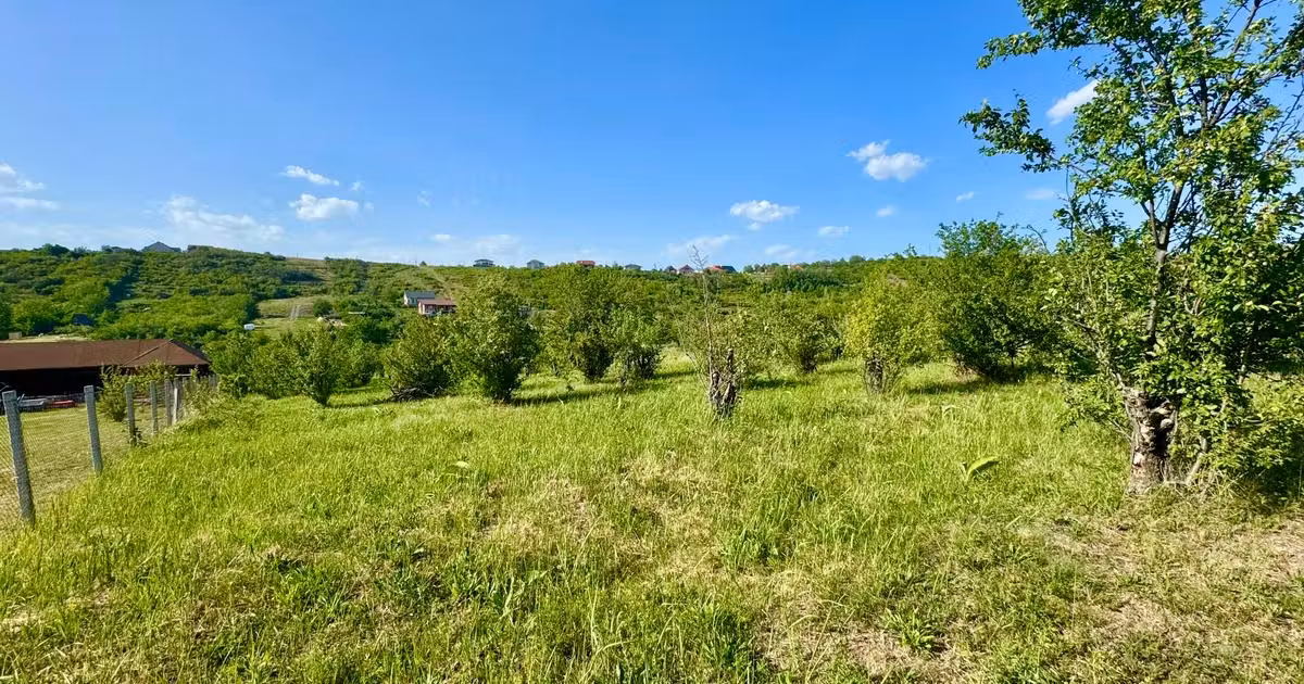 Teren Construcții intravilan de vânzare de 3245 mp, în zona Dealuri Oradea, Oradea