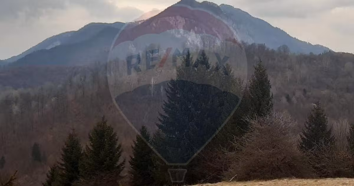 Teren agricol extravilan de vânzare de 14250 mp, în Râșnov