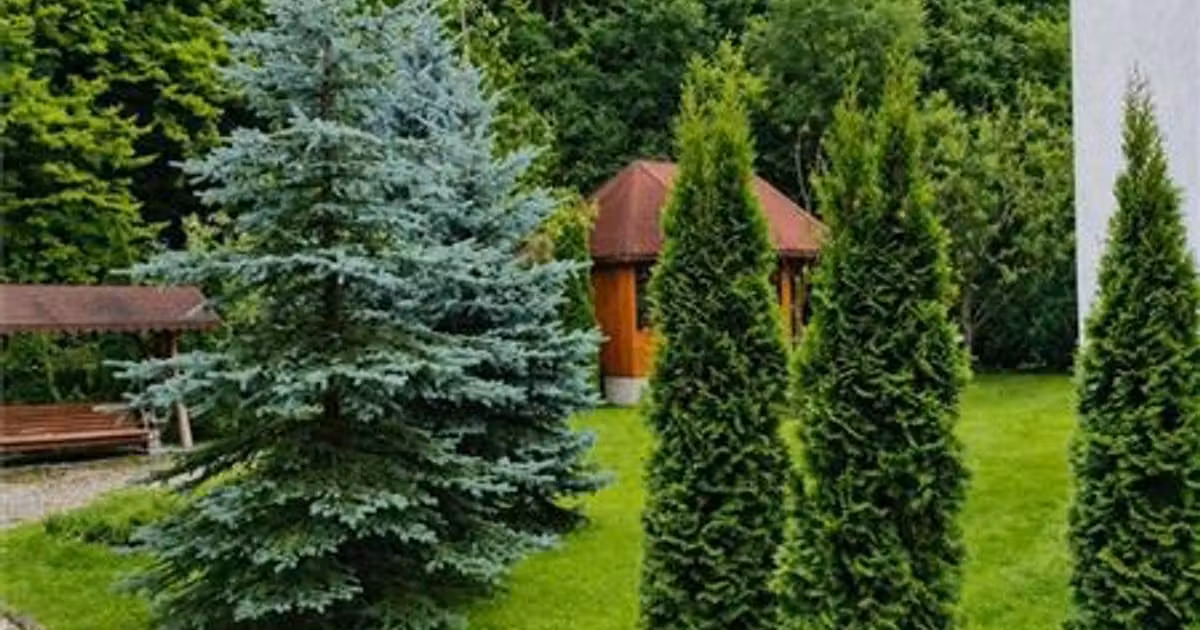 Hotel/Pensiune de vânzare de 450 mp, în Bran