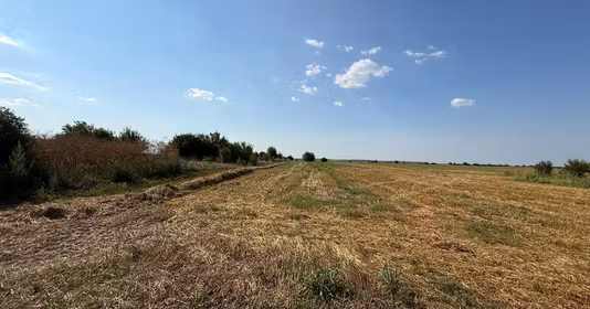 Teren Dârza