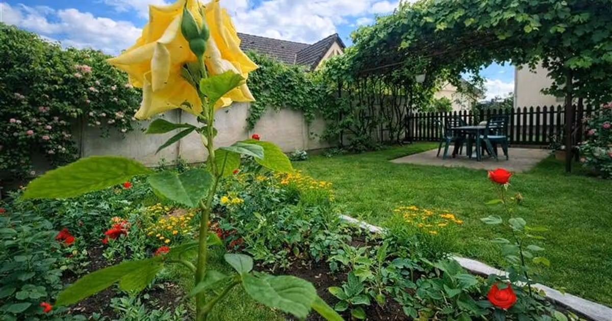 Casă individuală de vânzare cu 3 camere în zona Exterior Est, Brașov