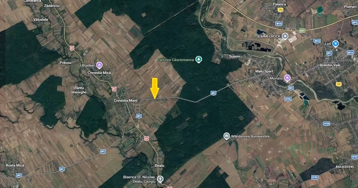 Teren agricol extravilan de vânzare de 5006 mp, în Crevedia Mare
