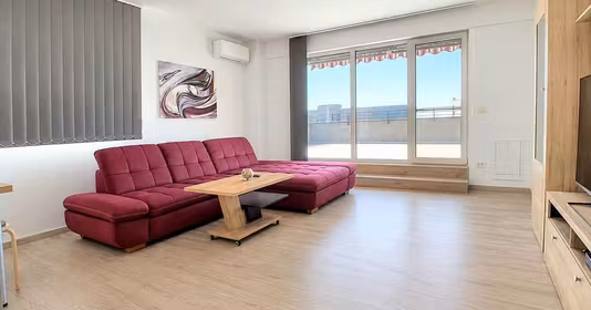 Penthouse Aradului