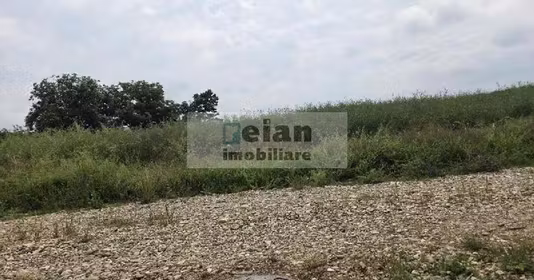 Teren Ciolpani