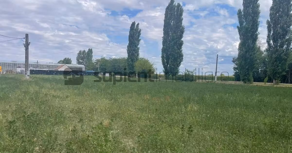 Teren Construcții extravilan de vânzare de 3783 mp, în Batăr