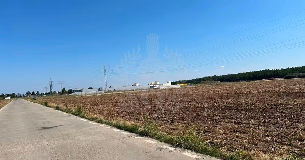 Teren Construcții intravilan de vânzare de 100000 mp, în Păulești