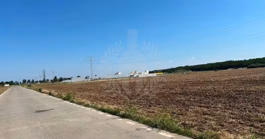 Teren Păulești