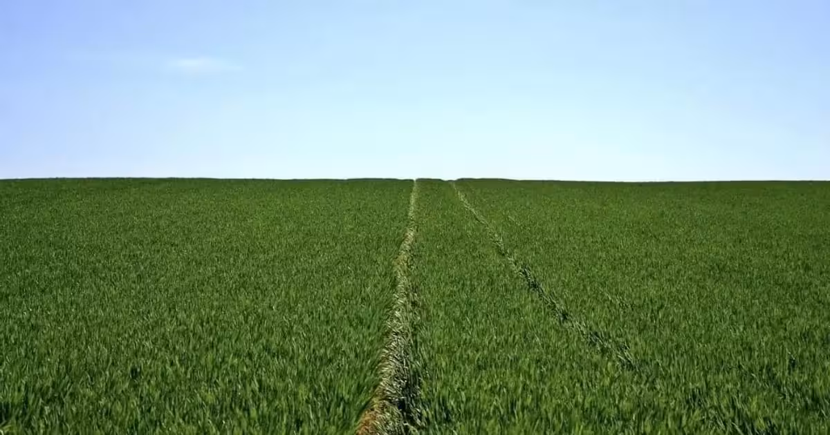 Teren agricol extravilan de vânzare de 4360000 mp, în Însurăței