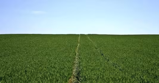 Teren Însurăței