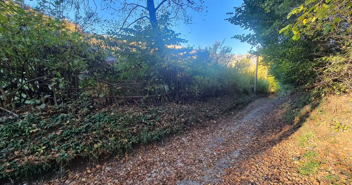 Teren Construcții intravilan de vânzare de 5571 mp, în zona Schei, Brașov