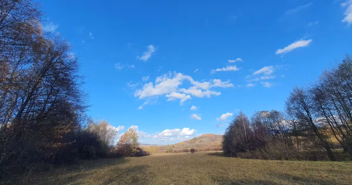 Teren Construcții intravilan de vânzare de 9000 mp, în Bran