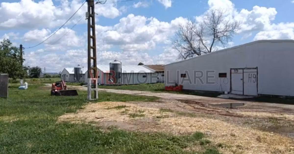 Proprietate specială de vânzare de 13,000 mp, în Urziceni