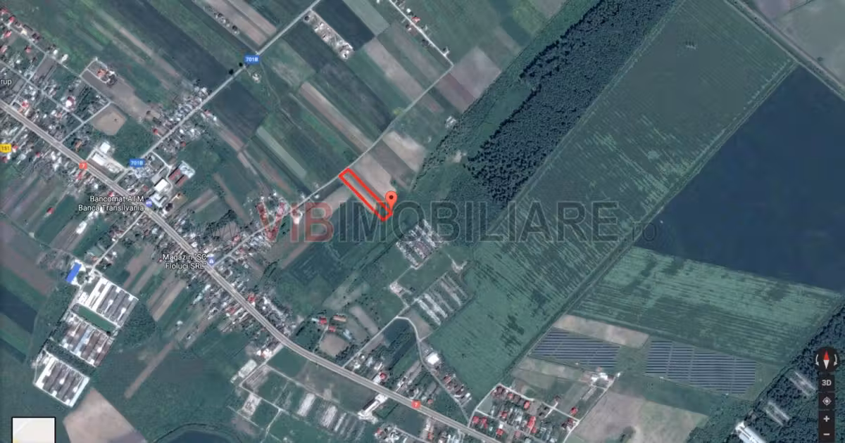 Teren extravilan de vânzare de 5000 mp, în Chitila