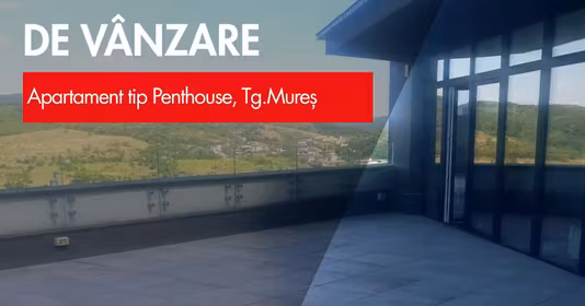 Apartament Tudor