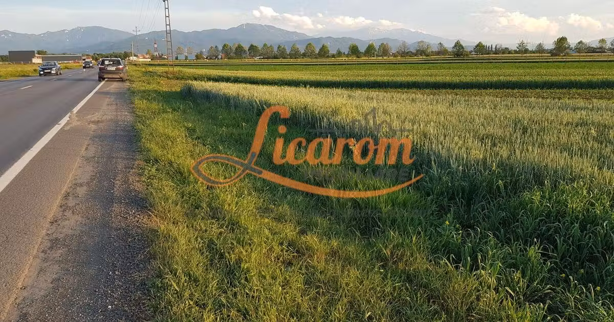 Teren Construcții intravilan de vânzare de 4600 mp, în zona Stupini, Brașov