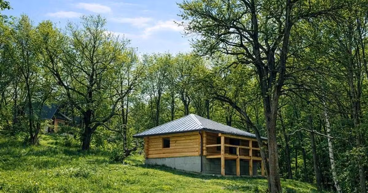 Teren intravilan de vânzare de 2957 mp, în Zărnești