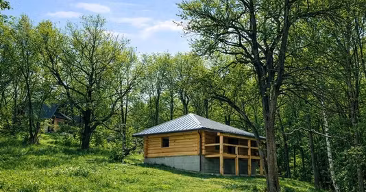 Teren Tohănița