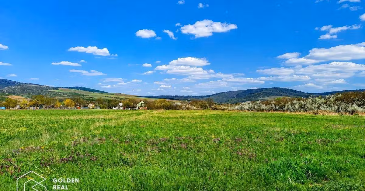 Teren agricol extravilan de vânzare de 2504700 mp, în Șiștarovăț
