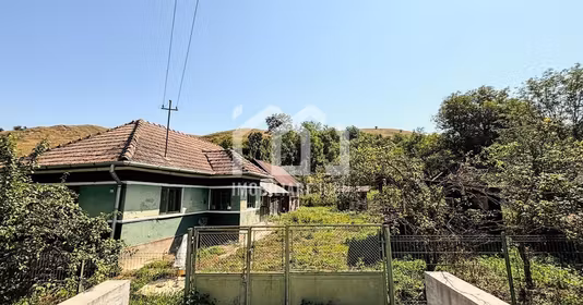 Casă Vișea