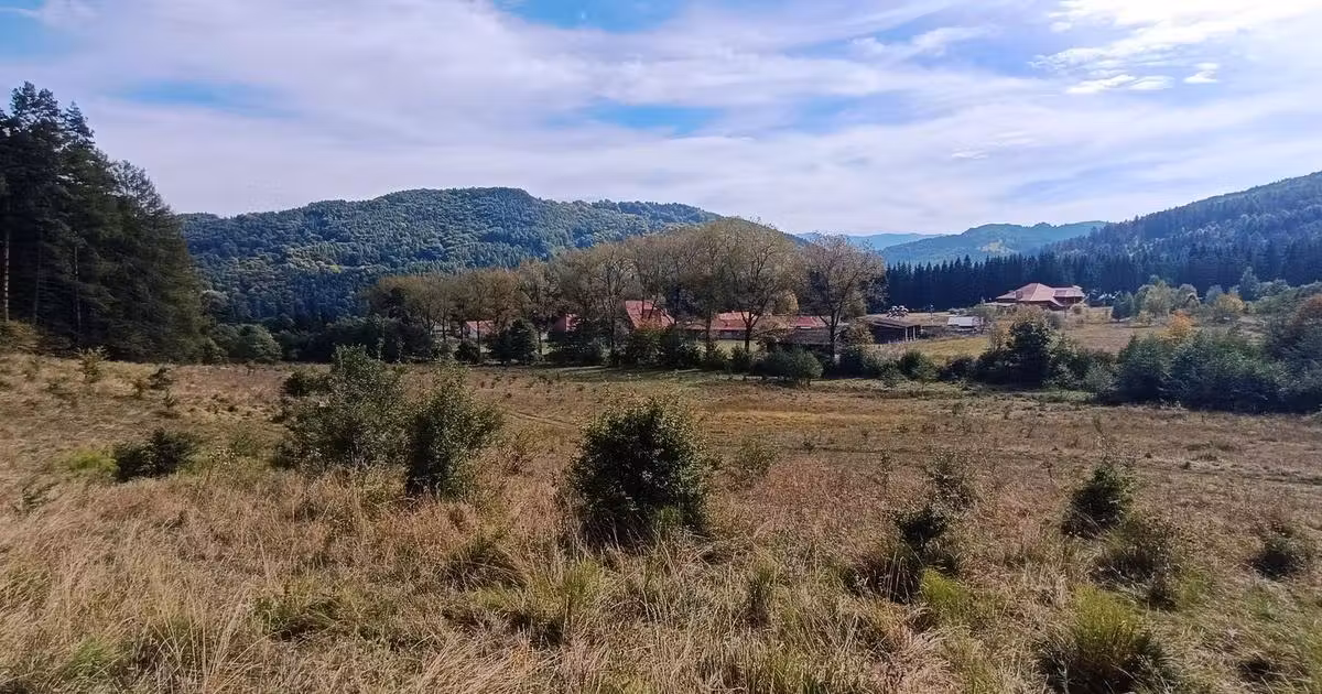 Teren Construcții intravilan de vânzare de 20000 mp, în Săcele
