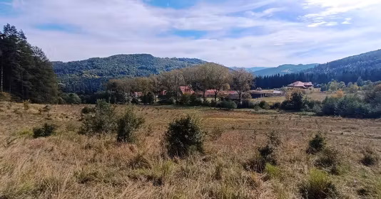 Teren Brădet
