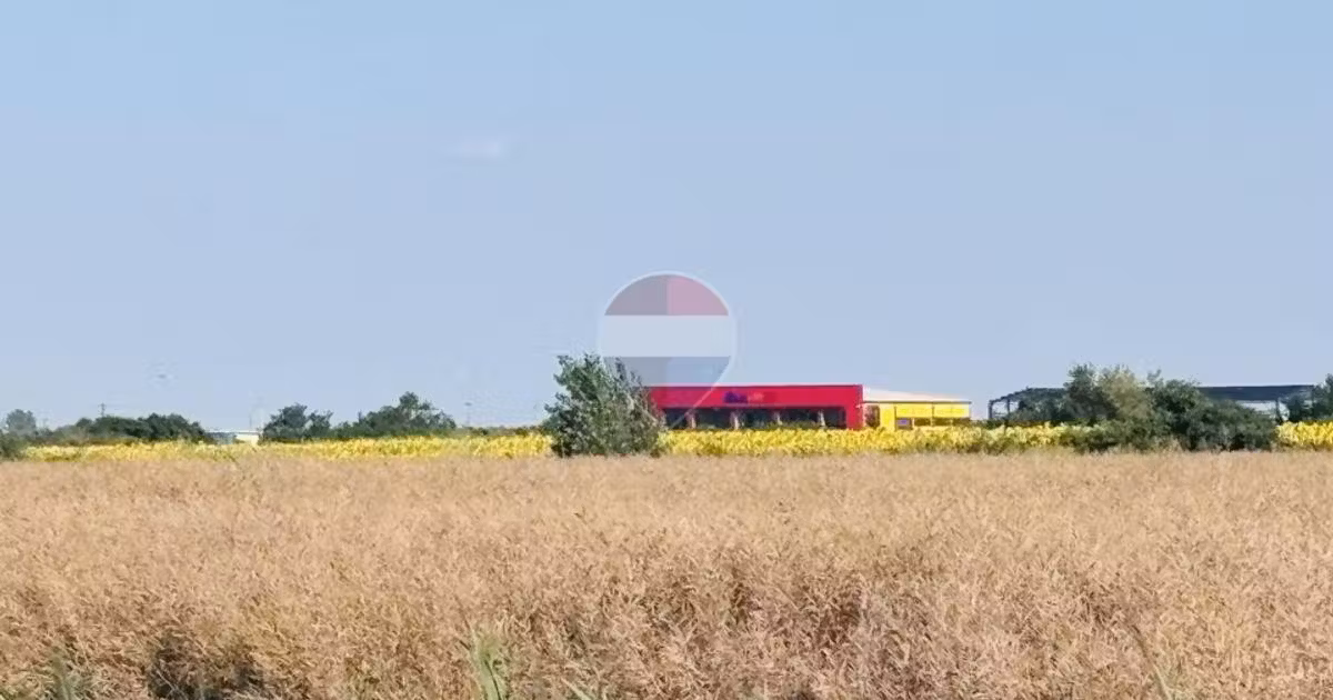 Teren Construcții de vânzare de 5200 mp, în Joița