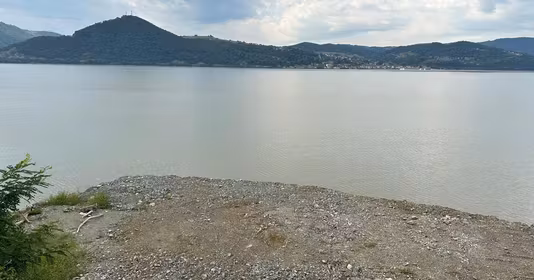 Teren Svinița