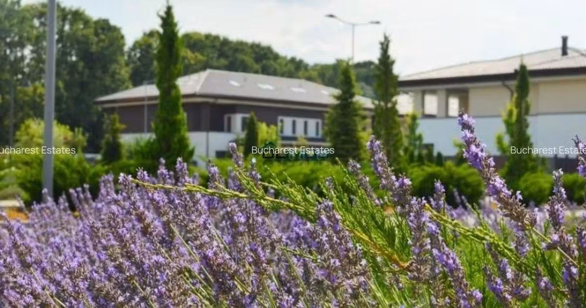 Duplex de vânzare cu 9 camere în zona Pipera, Sector 1