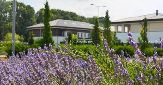 Apartament Pipera