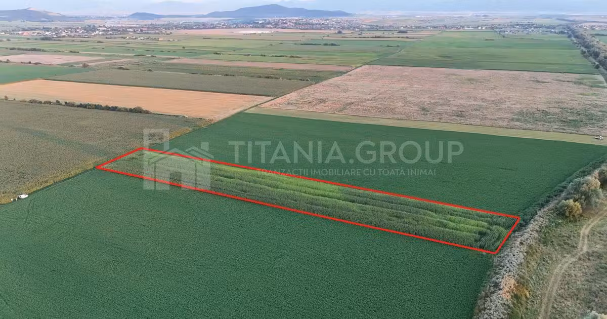 Teren agricol extravilan de vânzare de 8700 mp, în Bod
