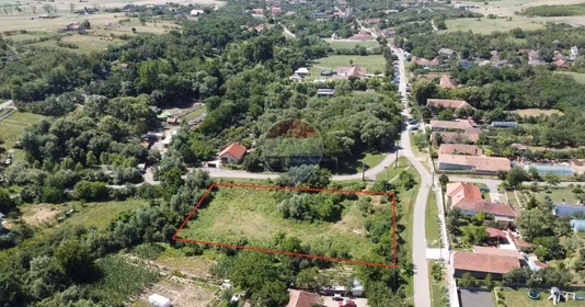 Teren Pișchia