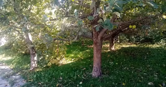Casă Central