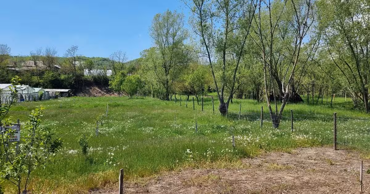 Teren Construcții intravilan de vânzare de 1809 mp, în Moțăieni